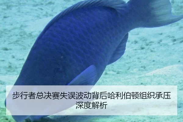 步行者总决赛失误波动背后哈利伯顿组织承压深度解析